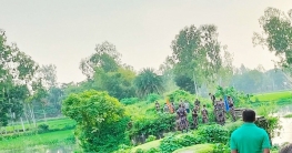ভূরুঙ্গামারীতে গরু চুরি করলেন ভারতীয় নাগরিক, ফেরত দিল বিএসএফ 